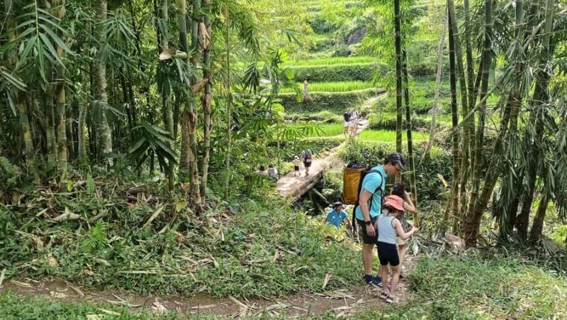 Lombok: Tetebatu Walking Tour with Monkey Forest & Waterfall - Good To Know