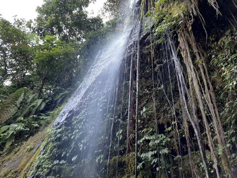 Lombok: The land and the Sasak people of Lombok | Waterfall, water castle - Practical Details & Value