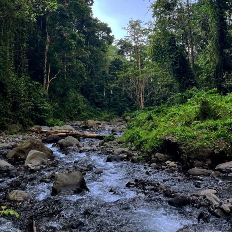 Lombok: Tiu Kelep Waterfall Tour and Sembalun Agro Tourism - FAQ