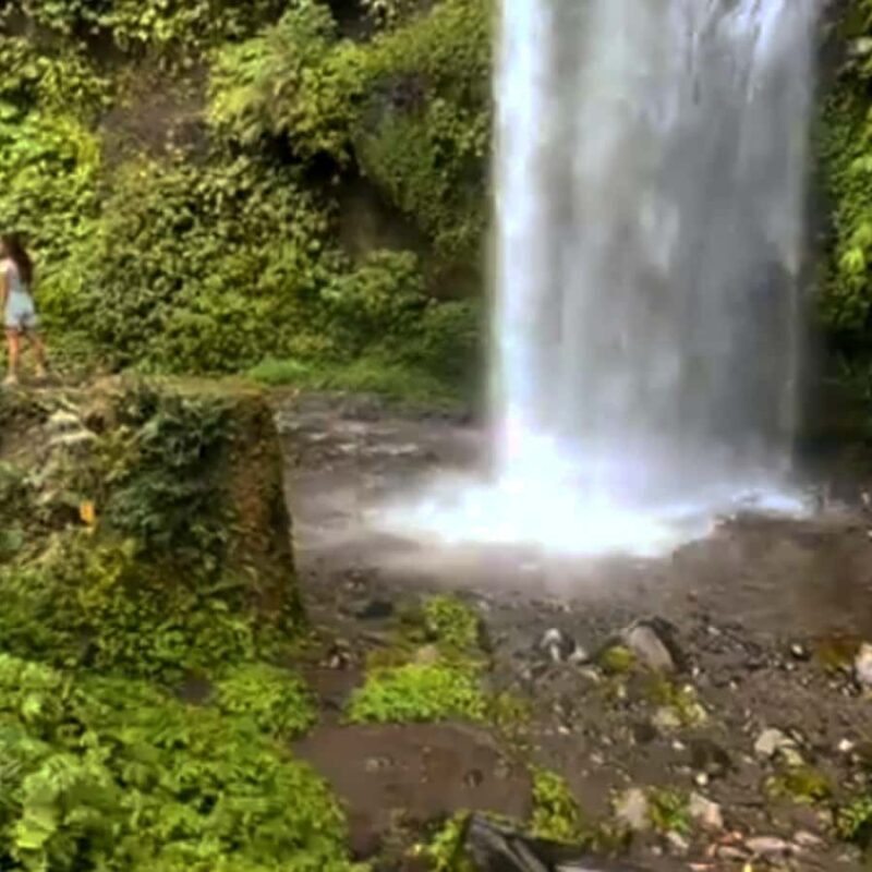 Lombok: Tiu Kelep Waterfall Tour and Sembalun Agro Tourism - Introduction