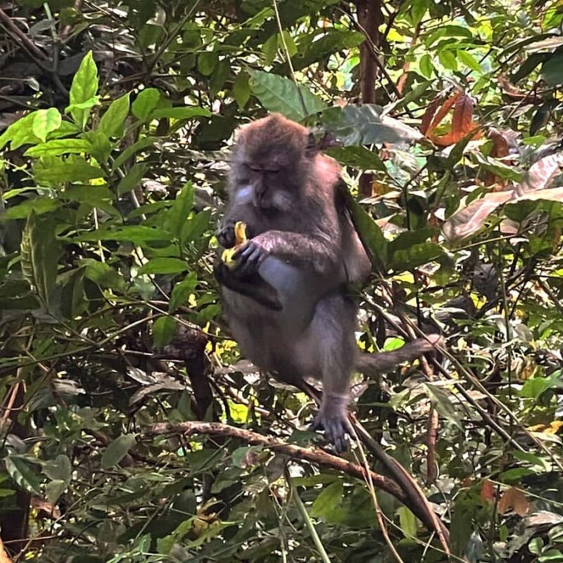 Lombok: Tiu Kelep Waterfall Tour and Sembalun Agro Tourism - The Sum Up