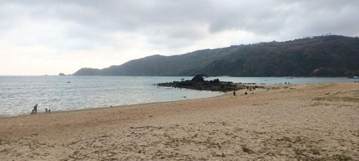 Lombok Tour: Explore Nature and Culture Arround Lombok - Good To Know
