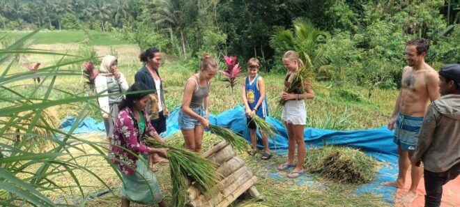 Lombok Tour: Explore Nature and Culture Arround Lombok - Breathtaking Scenery