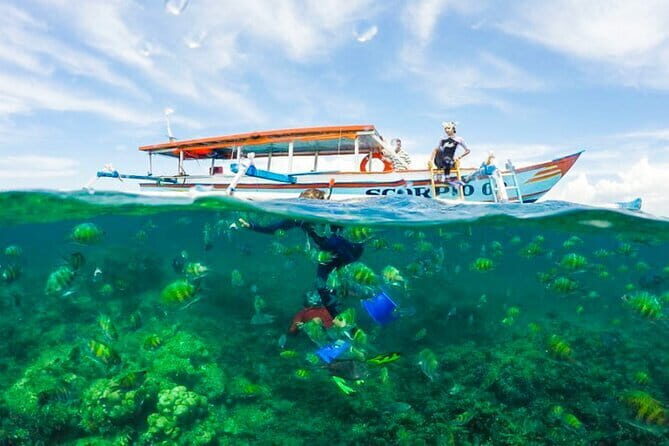 Lombok Tour from Cruise Passenger with Lunch - Who Will Love This Tour?