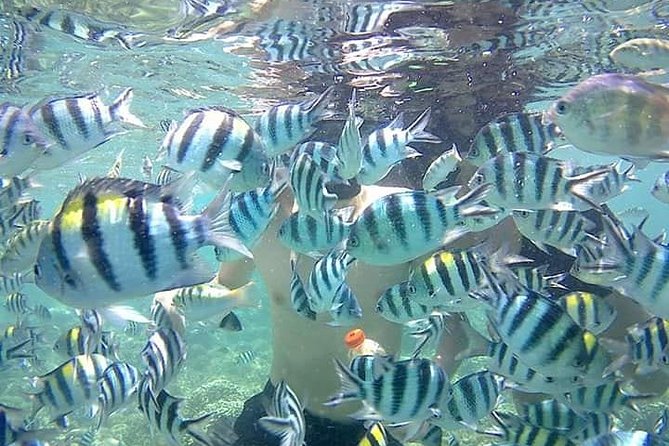 Lombok Tour Package, 4 Days 3 Nights - Review Insights & Ratings