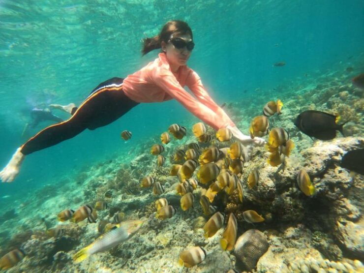Lombok : Trawangan, Meno & Air Islands Full Day Snorkeling - Best Snorkeling Spots