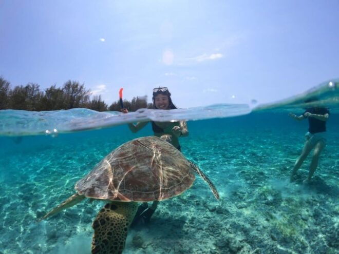 Lombok : Trawangan, Meno & Air Islands Full Day Snorkeling - Equipment and Gear Provided