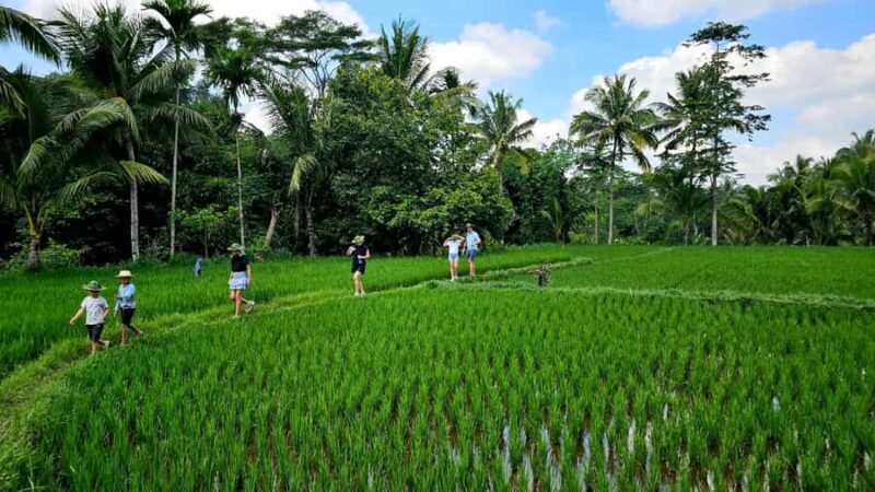 Lombok : Trip 4 Waterfalls,Hike through Rice Fields & Jungle - Final Thoughts