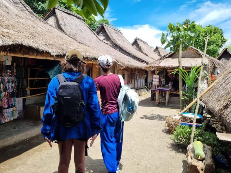 Lombok: Waterfall and Traditional Village Private Tour - Value and Cost