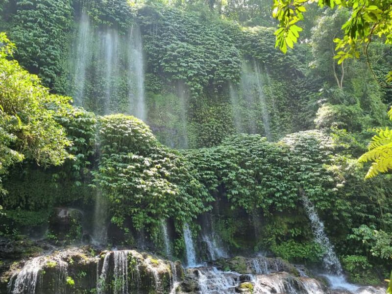 Lombok: Waterfall and Traditional Village Private Tour - What to Expect from the Tour Experience