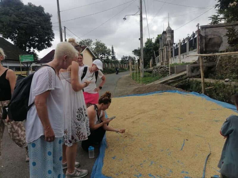 Lombok: Waterfall Benang Kelambu & Rice field Trip - An In-Depth Look at the Lombok Waterfall & Rice Field Tour