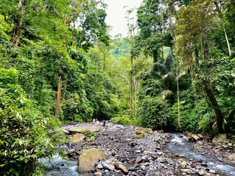 Lombok Waterfall Tour and Panorama Walk - Authentic Experiences and Tips from Reviewers