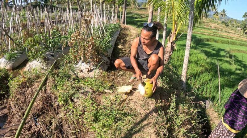 Lombok Waterfall Tour and Panorama Walk - Value for Money and Practical Details