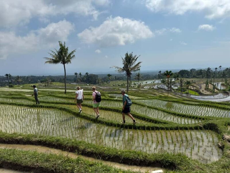 Lombok Waterfalls & Bukit Selong Private Tour - Good To Know  
