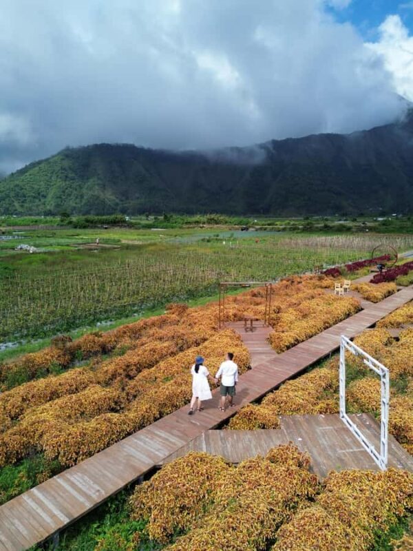 Lombok Waterfalls & Mountain Views Full-Day Tour - Who Will Love This Tour?