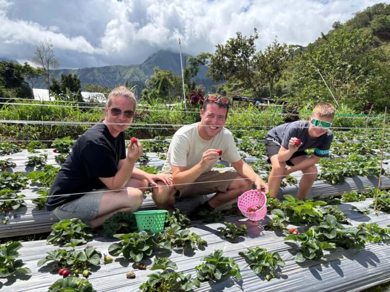 Lombok: Waterfalls, Strawberry Harvest, and Hike Tour - Good To Know