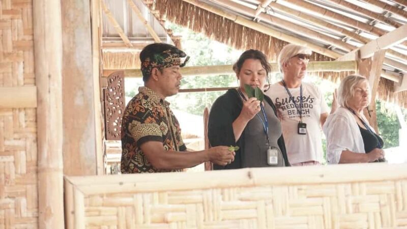 Lombok: Weaving Museum and Rinjani Geopark Waterfalls Tour - Practical Tips for Travelers