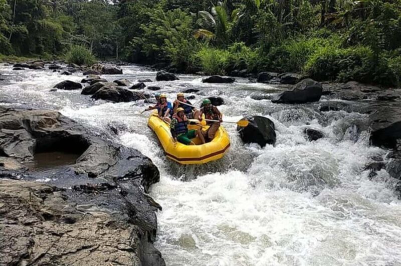 Lombok: White Water Rafting, Rice Terrace & Waterfall Tour - Transportation & Group Size  