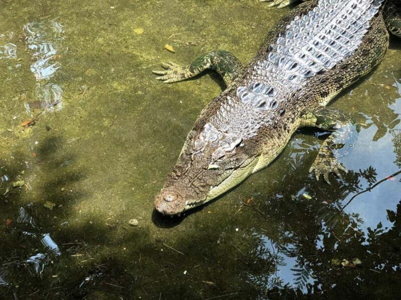 Lombok Wildlife Park: Admission Ticket - Entry and Initial Impressions