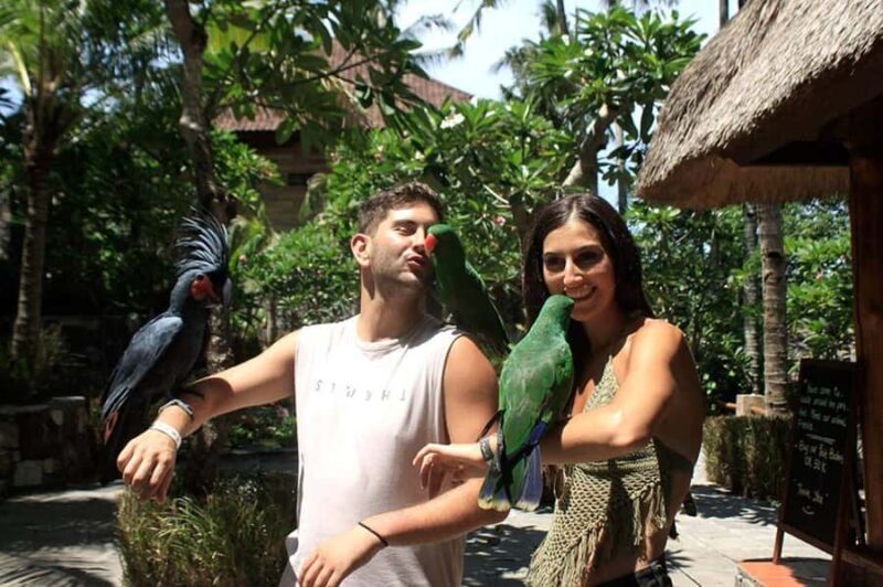 Lombok Wildlife Park: Admission Ticket - Bird & Reptile Encounter