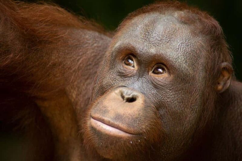 Lombok Wildlife Park: Admission Ticket - Good To Know  