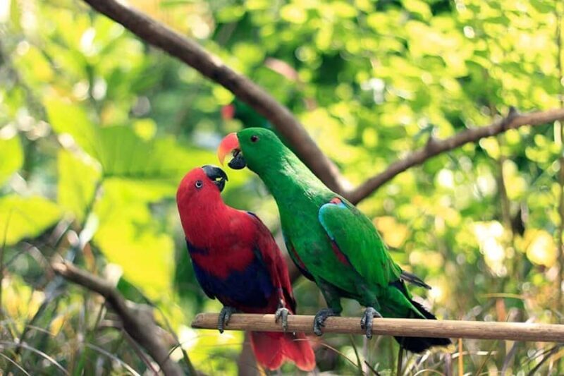 Lombok Wildlife Park: Admission Ticket - Facilities, Food, and Souvenirs