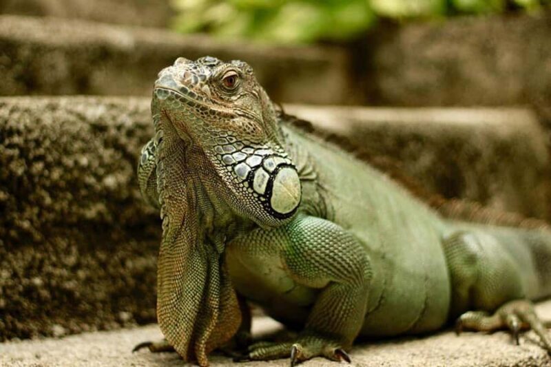 Lombok Wildlife Park: Admission Ticket - The Value and Who Will Love It