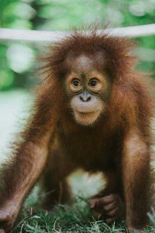 Lombok Wildlife Park: Admission Ticket - FAQ