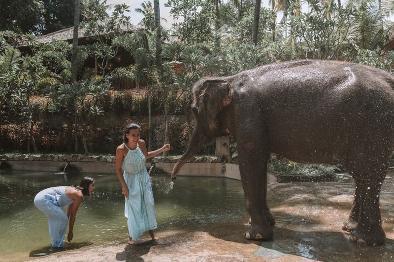 Lombok Wildlife Park Ticket - A small park with close animal encounters