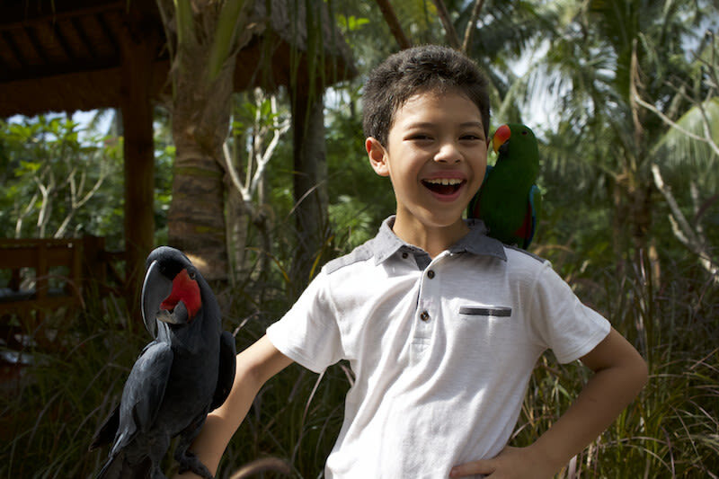 Lombok Wildlife Park Ticket - Lunch, high tea, and choosing a package