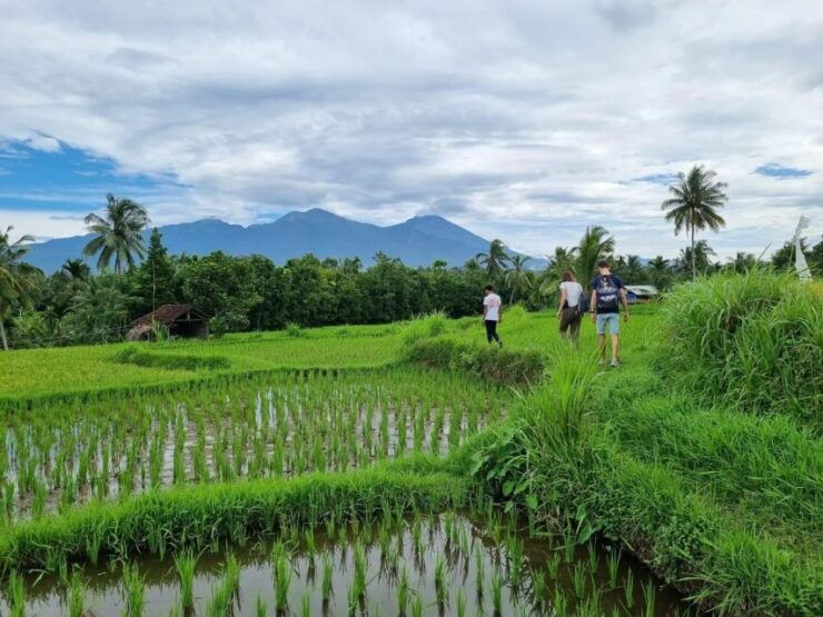 Lombok:Hire Driver-Guide For Cruise Ship Passangers-Day Tour - Good To Know