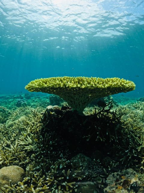 Lombok:Hire Driver-Guide For Cruise Ship Passangers-Day Tour - Explore Lomboks Hidden Gems