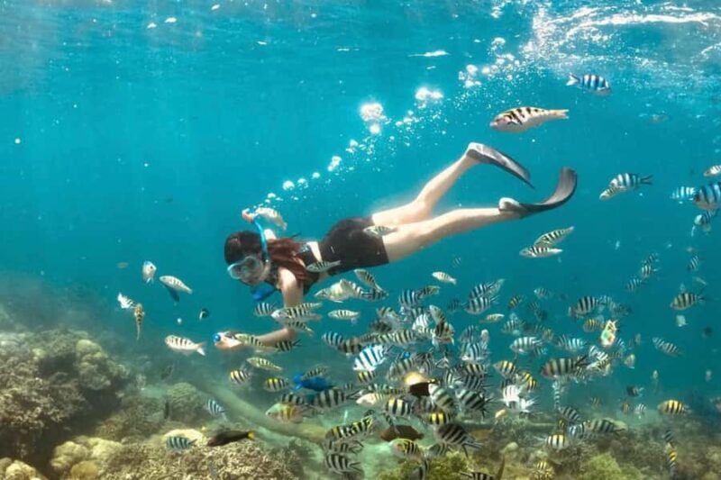 Lombok:Private Snorkeling Gili Nanggu,Gili Kedis,Gili Sudak - The Sum Up