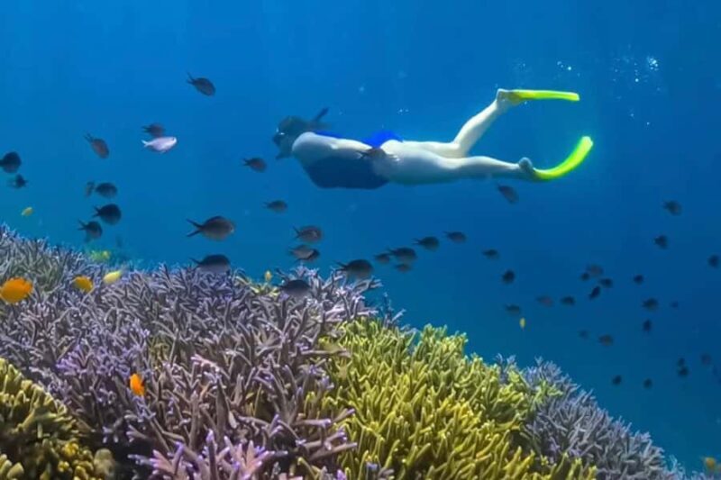 Lombok:Private Snorkeling Gili Nanggu,Gili Kedis,Gili Sudak - Authentic Experiences and Insights from Reviewers