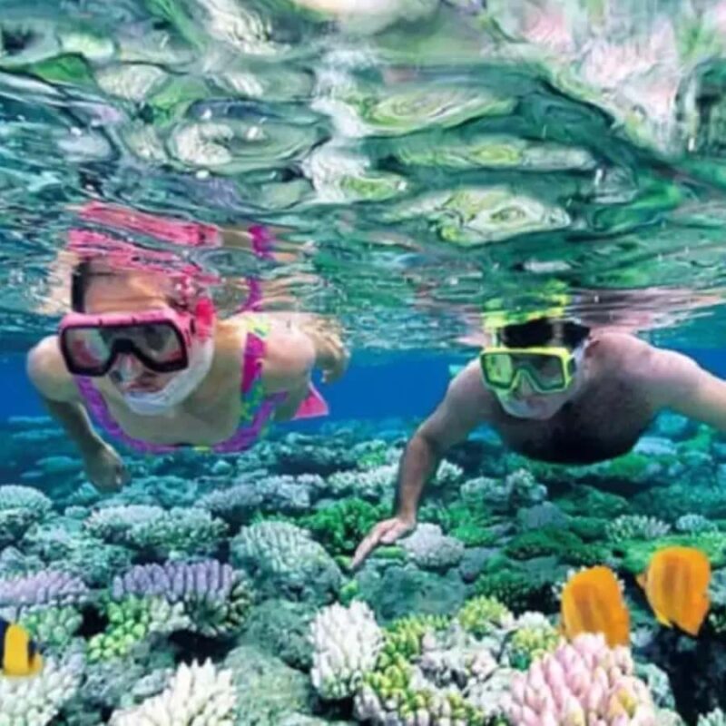 Lomboks Hidden Gems: Snorkeling Gili Kondo & Petagan - A detailed look at the Gili Kondo & Petagan Snorkeling Tour