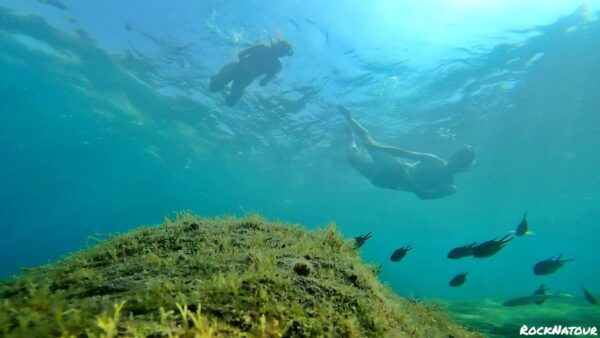 Lomo Quiebre: Mogan Kayaking and Snorkeling Tour in Caves - The Sum Up
