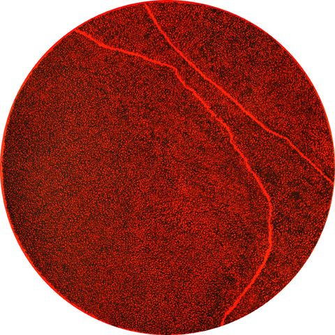 London Art Tour - Experience Highlights