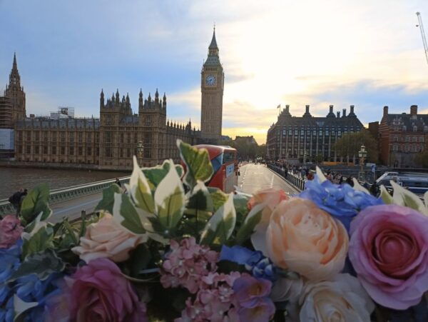 London: Bar Bus Tour by Tootbus - Product Details