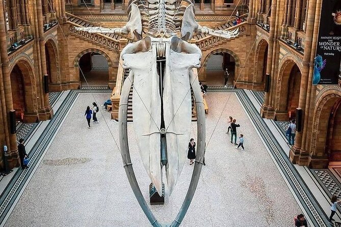 London British Museum Expert Guided Tour - Transportation and Tips