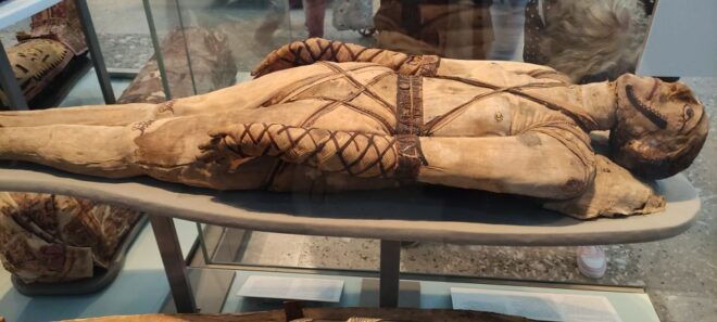 London: British Museum Private Tour for Kids & Families - Inclusions and Tour Details