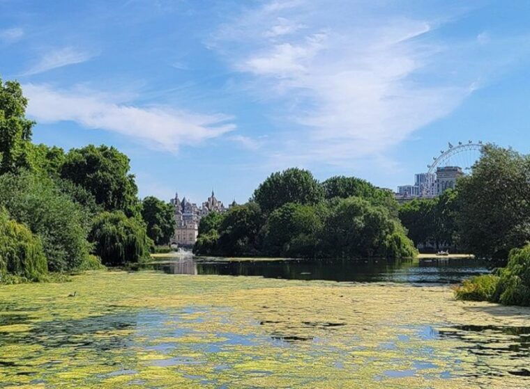 London: Buckingham, Big Ben & Westminster Abbey Tour - Final Thoughts: Who Is This Tour Best For?