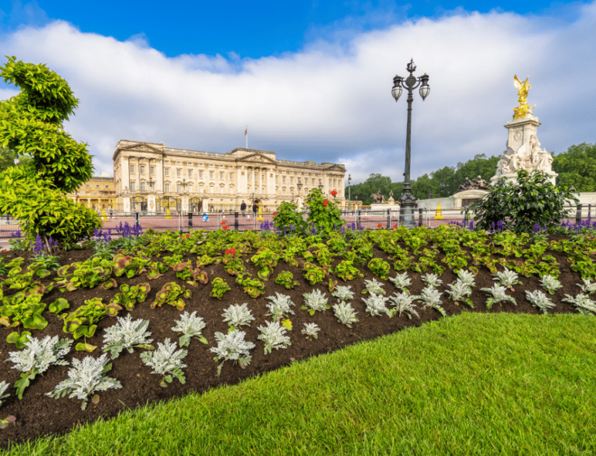 London: Buckingham Palace and Royal London Walking Tour - Accessibility and Restrictions