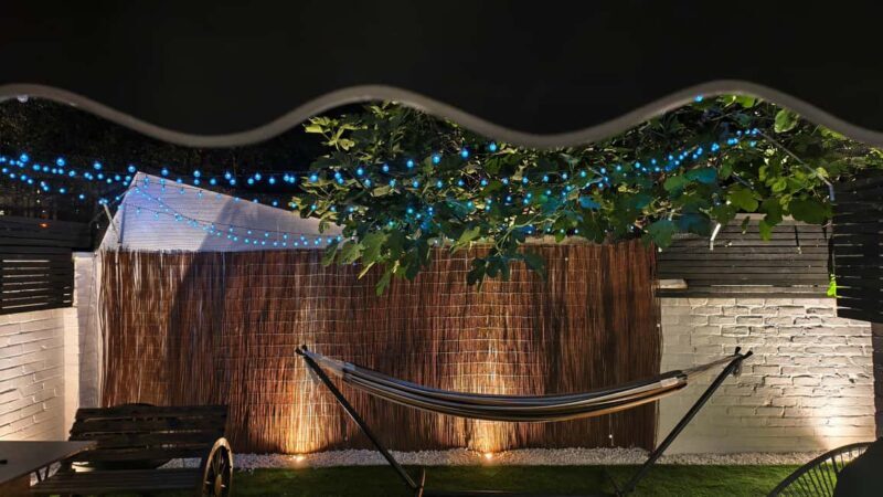 London Cat Cafe: Cat Lounge Entry Ticket - An Authentic and Cozy Experience with Adopted Cats