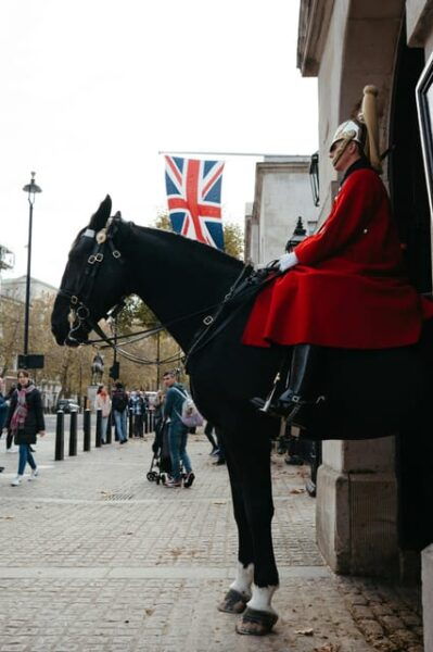 London: Changing of the Guard Experience and Landmarks Tour - Included Experiences and Amenities