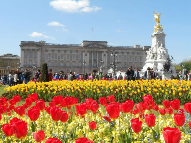 London: Changing of the Guard Walking Tour - Highlights of the Tour