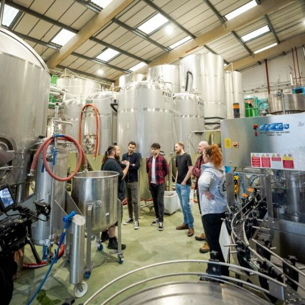 London: Craft Brewery Tour With Tasting of 4 Beers - The Sum Up