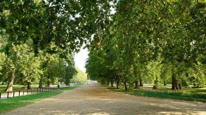 London: Discover Pass with HOHO Bus Tours, Cruise and Walks - Final Thoughts