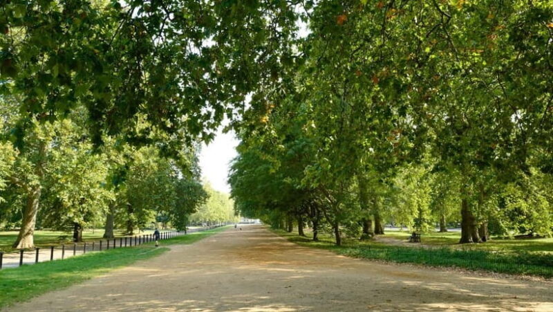 London: Discover Pass with Hop-On Hop-Off Bus, Cruise, Walks - FAQ