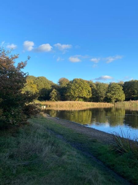 London: East London Country Parks Guided Walking Tour - What to Bring and Restrictions