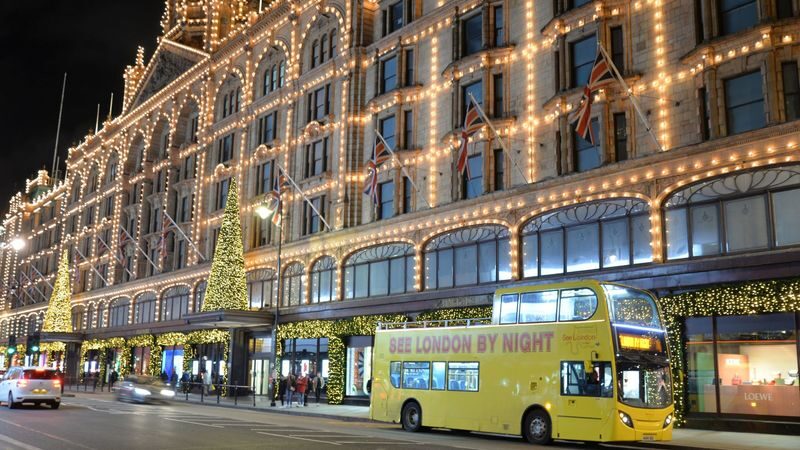 London Evening Sightseeing Tour - London’s famous sights, without the long walk